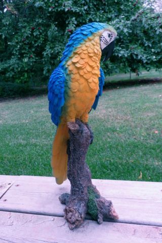 Blue Macaw Parrot Tropical Pet Bird Figurine Decoration Ornament Mexico15 in. 2