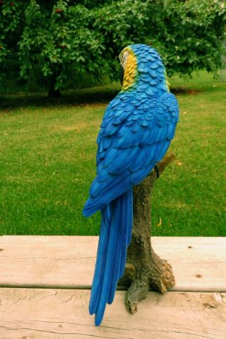 Blue Macaw Parrot Tropical Pet Bird Figurine Decoration Ornament Mexico15 in. 5