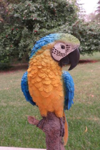 Blue Macaw Parrot Tropical Pet Bird Figurine Decoration Ornament Mexico15 in. 6