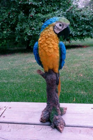 Blue Macaw Parrot Tropical Pet Bird Figurine Decoration Ornament Mexico15 in. 7