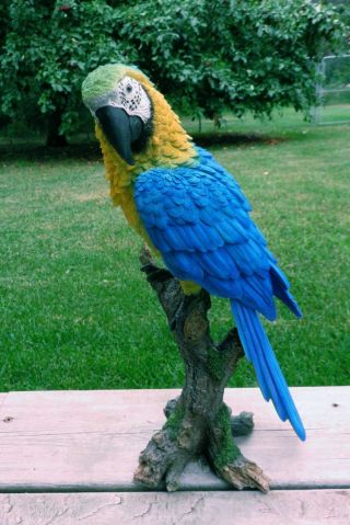 Blue Macaw Parrot Tropical Pet Bird Figurine Decoration Ornament Mexico15 in. 8
