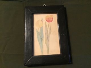 Mid - 19th Century Watercolor Of Two Tulips