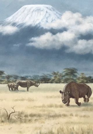 Oil Painting By Lydia De Burgh.  Rhino ' s At Mt Kilimanjaro.  Signed 5
