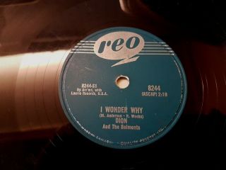 1958 Rock N Roll Doo Wop 78 Rpm Dion & Belmonts On Canada Reo  I Wonder Why