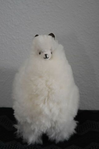 Alpaca Fur Llama/alpaca Imported From Peru 12 " H By 10 " L
