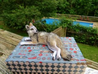 One Of A Kind Dollhouse Miniature Artist Sculpted Realistic Wolf 1:12 By Jmds