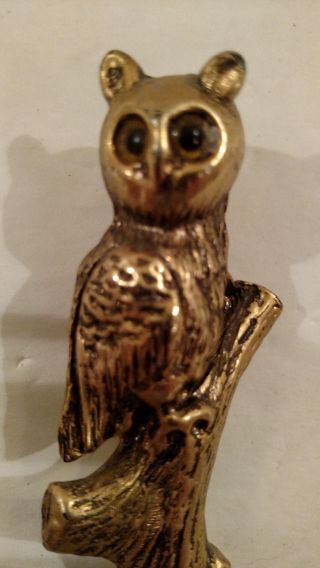 Vintage Brass Nutcracker Owl Perched On Limb With Glass Eyes 2
