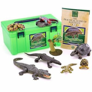 Ha0647 Colorata Japan Real Figure Box Reptile Lizard Chameleon Figure Set F/s