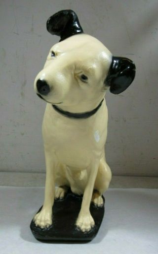 Vintage/antique Chalkware Rca Nipper Dog Statue 14.  5 " Tall