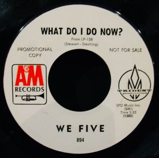WE FIVE - High Flying Bird - Near 1967 Promo 45 - A&M 894 Beverly Bivens 2
