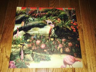 Rival Sons Rare Authentic Band Signed Vinyl Record Feral Roots Autographed,