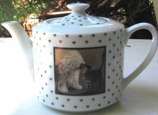 Old English Sheepdog With Cat Vintage Tea Pot