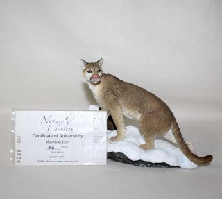 Stunning Country Artist Natures Wonders 1st Edition Le “mountain Lion” Iob