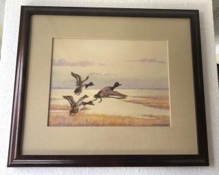 Benson B Moore Framed,  Signed Sporting Art Ducks In Flight - Watercolor