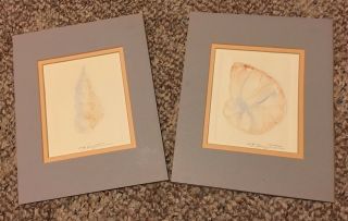 2 Patricia Hagstrom Silk Screen Embossed Art Work Sea Shells Signed Autographed