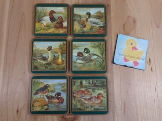 Pimpernel Coasters Set Of 6 Male And Female Ducks Green Gold Cork England