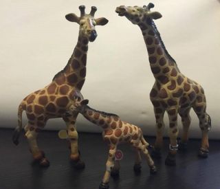 Retired Schleich Giraffe Giraffes Family 14099 14028 14147 Animal Figure Color A