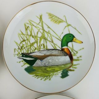 Vintage Ned Smith Waterfowl Mallard Duck Plate 1979 Set of 4 Rubel Dessert Salad 5