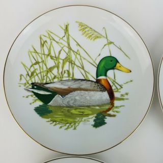 Vintage Ned Smith Waterfowl Mallard Duck Plate 1979 Set of 4 Rubel Dessert Salad 6