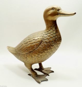 Rare Very Large Brass Footed Standing Duck 10 1/2 " X 10 5/8 " Detailed Figurine