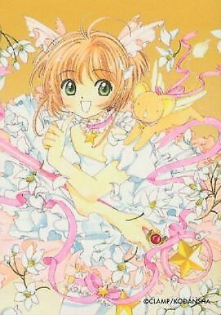 Anime Trading Card Normal Edition Captor Sakura Hen No.  037 Cerberus