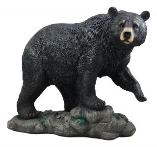 Large Realistic Strolling Black Bear Statue 16.  5 " L Rustic Cabin Decor Figurine