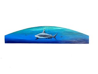 Blacktip Reef Shark Fish Over The Door Topper Plaque Nautical Painting