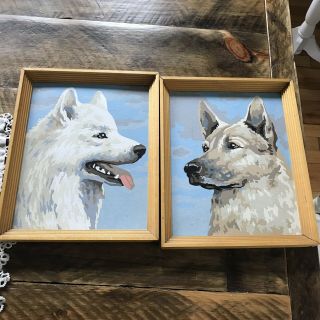 Vtg Paint By Number Samoyed Blue Heeler ? 8x10” Dog 1950’s - 60’s Set Of Two