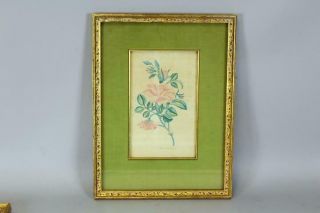 One Of A Pair A Signed Early 19th C Folk Art Watercolor Theorem Of Flowers 2