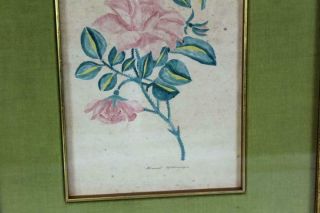 ONE OF A PAIR A SIGNED EARLY 19TH C FOLK ART WATERCOLOR THEOREM OF FLOWERS 2 5