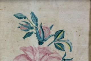 ONE OF A PAIR A SIGNED EARLY 19TH C FOLK ART WATERCOLOR THEOREM OF FLOWERS 2 7