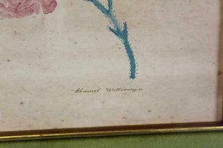 ONE OF A PAIR A SIGNED EARLY 19TH C FOLK ART WATERCOLOR THEOREM OF FLOWERS 2 8