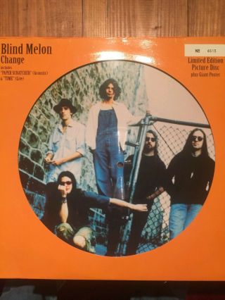 Blind Melon “change” 12” Single Picture Disc Vinyl Record Poster