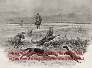 Dog Borzoi Russian Wolfhounds Hunting Coursing Foxes,  Large 1890s Antique Print