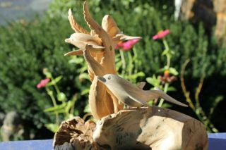 Dolphin Sealife Statue Parasite Mushroom Wood Carving Sculpture Bali Art