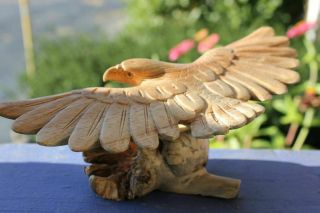 Eagle Parasite Mushroom Wood Carving Statue Hand Carved Bird Of Raptor Bali Art