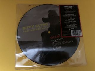 Biffy Clyro - That Golden Rule Picture 7” Vinyl Record Pic