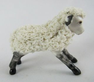 Vintage Irish Dresden Lace Black & White Baby Lamb Sheep Figurine - Darling