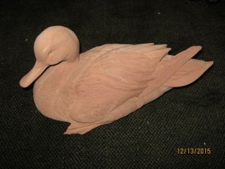 Decoy Life - Size Preening Pintail Unpainted Extremly Detailed Loon Lake Blank
