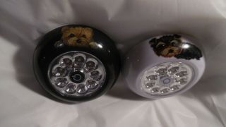 Yorkie Hand Painted Yorkshire Terrier Led Push Lights