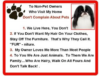 Larger 8 " X 10 " Japanese Chin House Rules Refrigerator / Tool Box Magnet