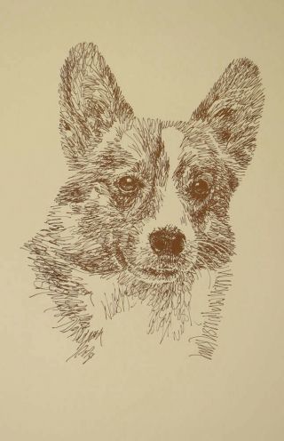 Welsh Corgi Dog Art 64 Stephen Kline Will Add Dogs Name Word Drawing Gift