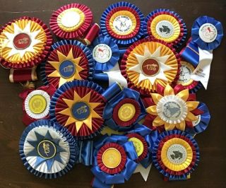 Large Horse Show Ribbons Nineteen Total.  Champion And Reserve.
