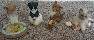 Country Artists Kittens,  Dreamy Days Ballet Slipper A Curious Tale w/Butterfly 2