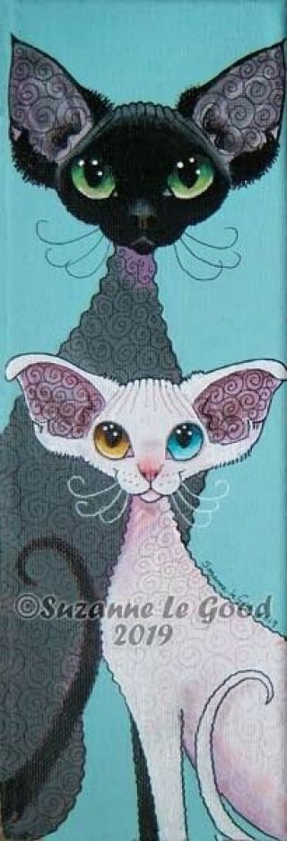 Devon Rex Cat Kitten Art Painting Canvas Hand Painted Suzanne Le Good