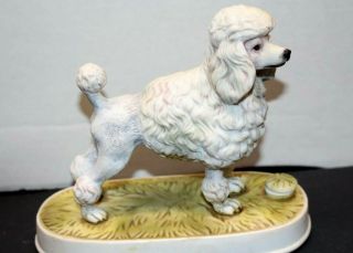 Lionstone Poodle Decanter – 1975 Empty – No Box 5 1/2 " Tall