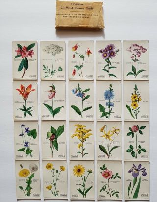 1928 Coke Coca Cola Complete Set 20 Wild Flowers Of America Cards With Envelope