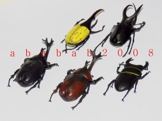 F Toys insect Bug stag beetle trading figure (full set 5 figures with 5 boxes) 2