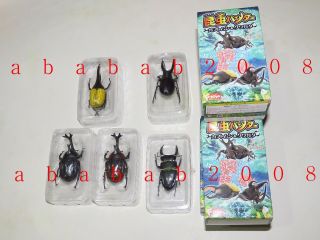 F Toys insect Bug stag beetle trading figure (full set 5 figures with 5 boxes) 5