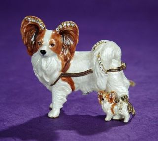 Pippy The Papillon Jeweled Trinket Box & Matching Necklace 62536